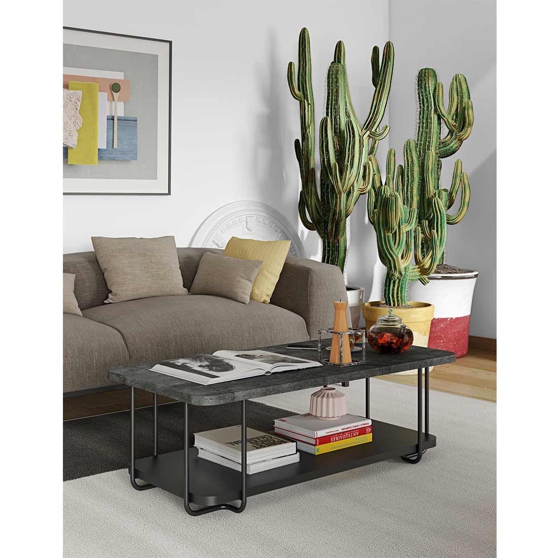 TEMAHOME Kal Couchtisch 120x60cm