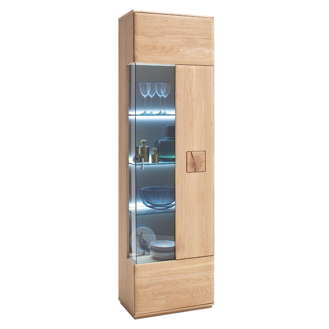MCA Bologna Vitrine 60x38x208cm