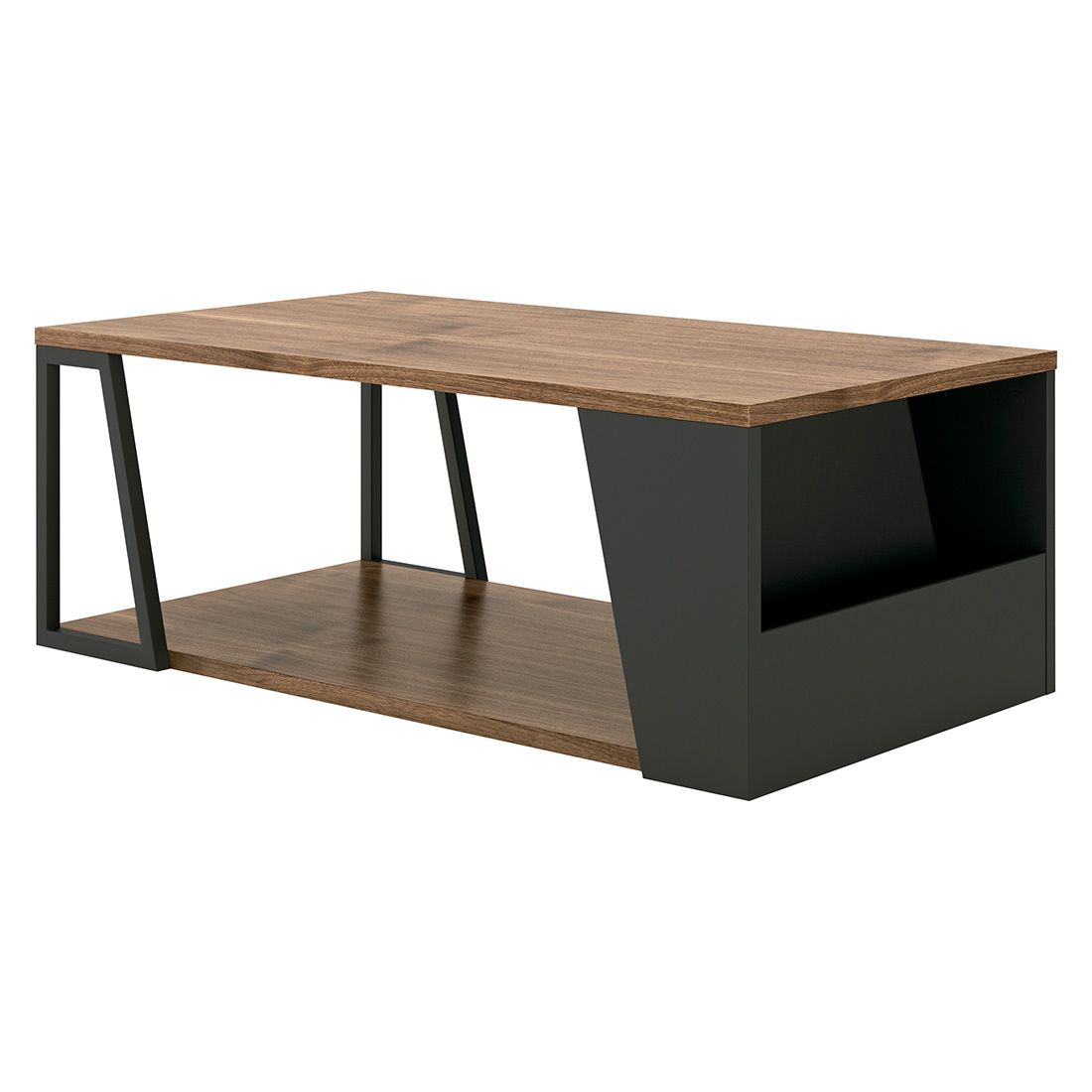 TEMAHOME Albi Couchtisch 100x55cm
