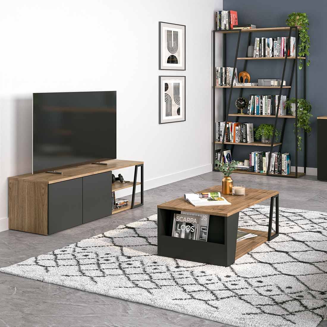 TEMAHOME Albi Couchtisch 100x55cm