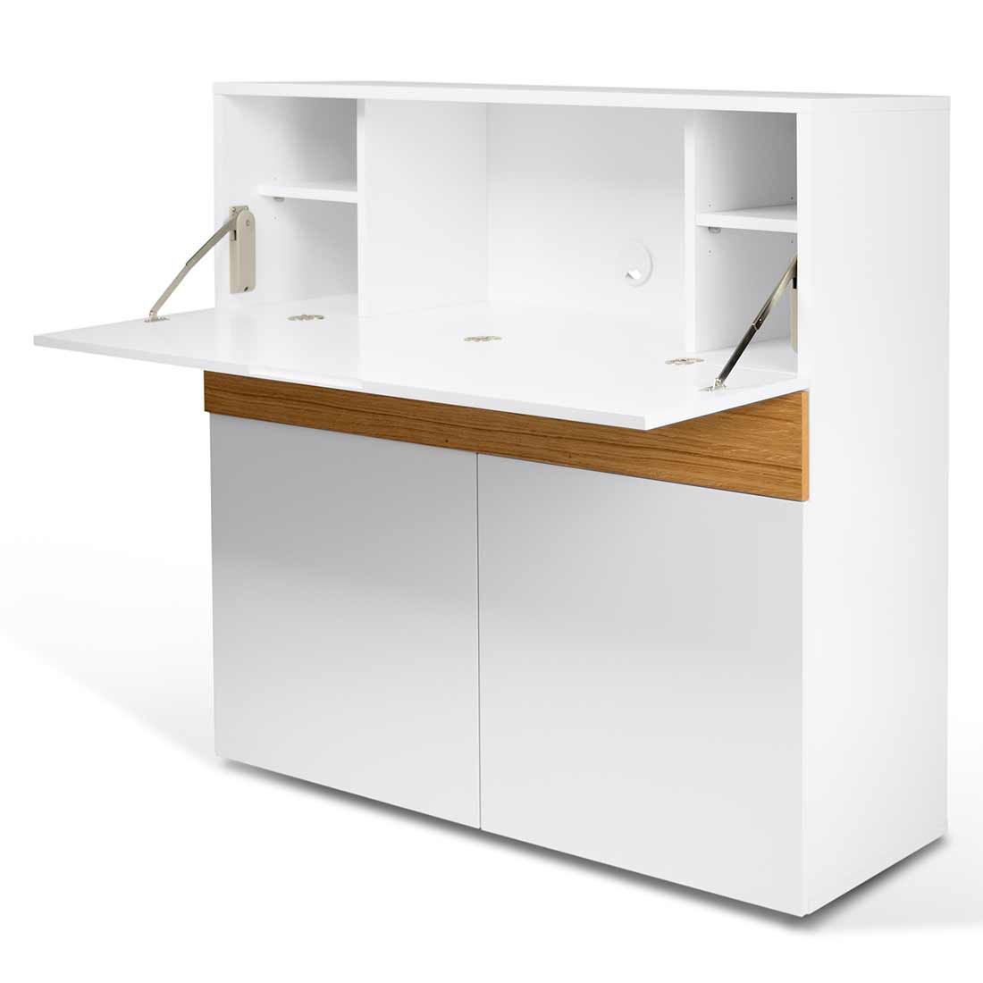 TEMAHOME Focus Schreibtisch 110x42x109 cm