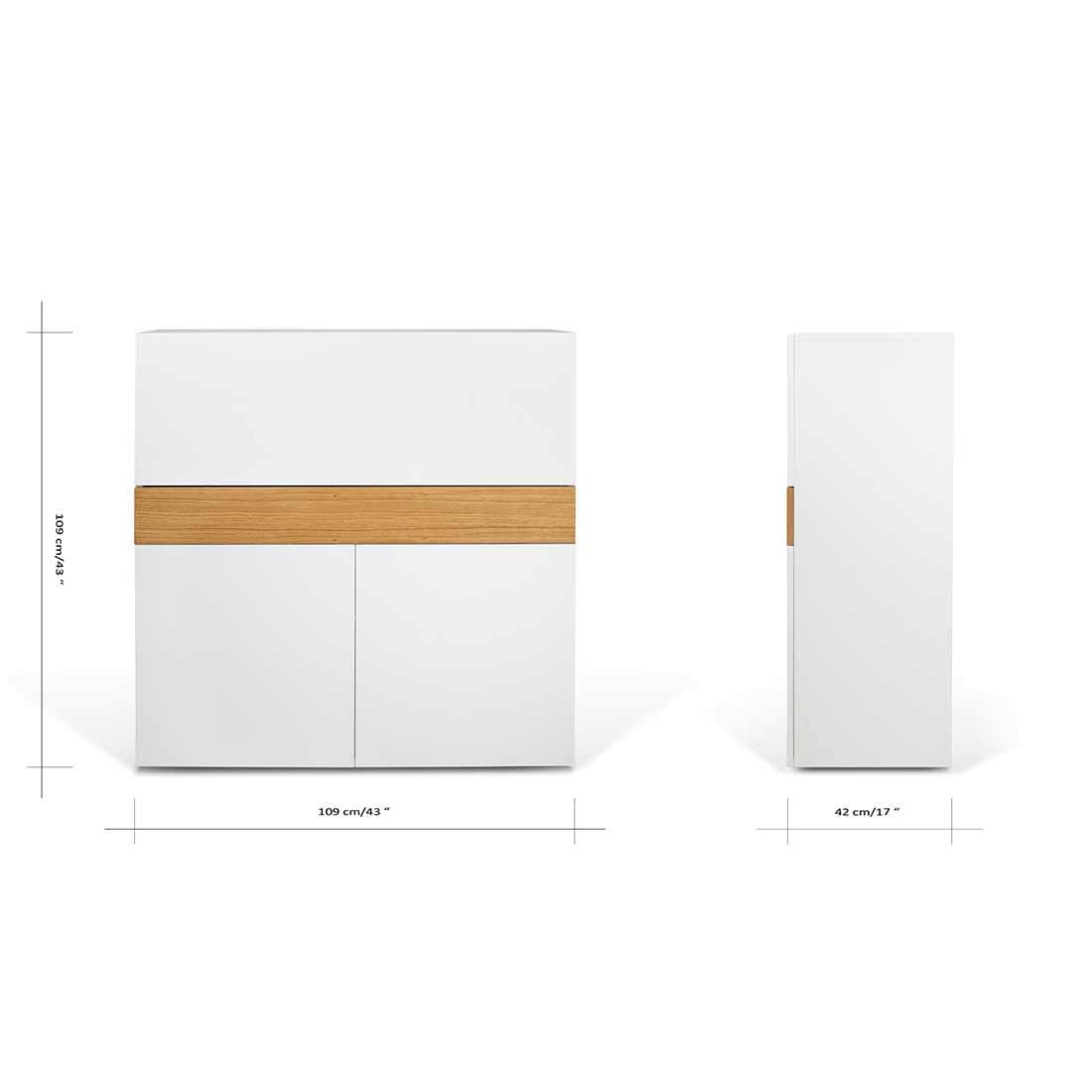 TEMAHOME Focus Schreibtisch 110x42x109 cm