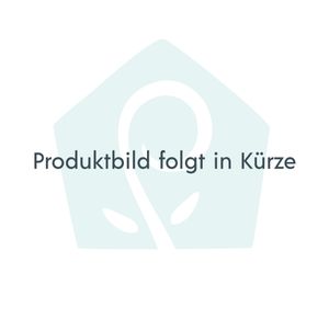 Eine Zusammenfassung der favoritisierten Schuhkipper bunt
