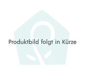 Alle Esszimmer im vintage stil im Blick