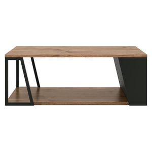 TEMAHOME Albi Couchtisch 100x55cm