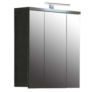Forte Veris Spiegelschrank mit LED-Beleuchtung 68,6x20x68,1cm
