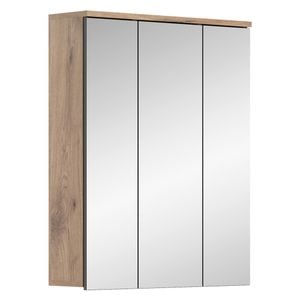 Xonox Mason Spiegelschrank 60x18x77cm