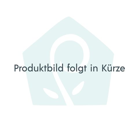 Hochwertige Esszimmerstühle - Zeitlos schön wohnen | Piolo